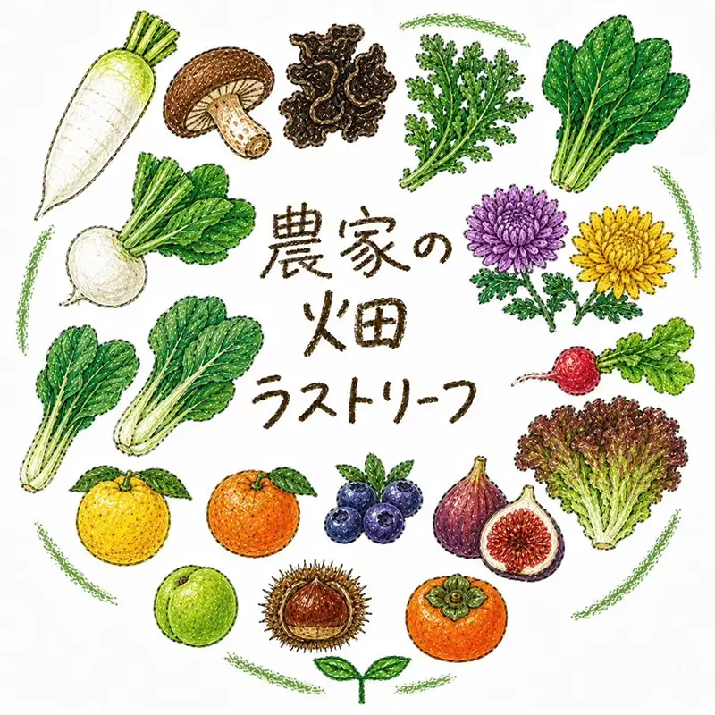 野菜詰合せ 農家のおまかせ 四季の恵BOX 4～6品 旬の野菜を1回お届け F7W-0499