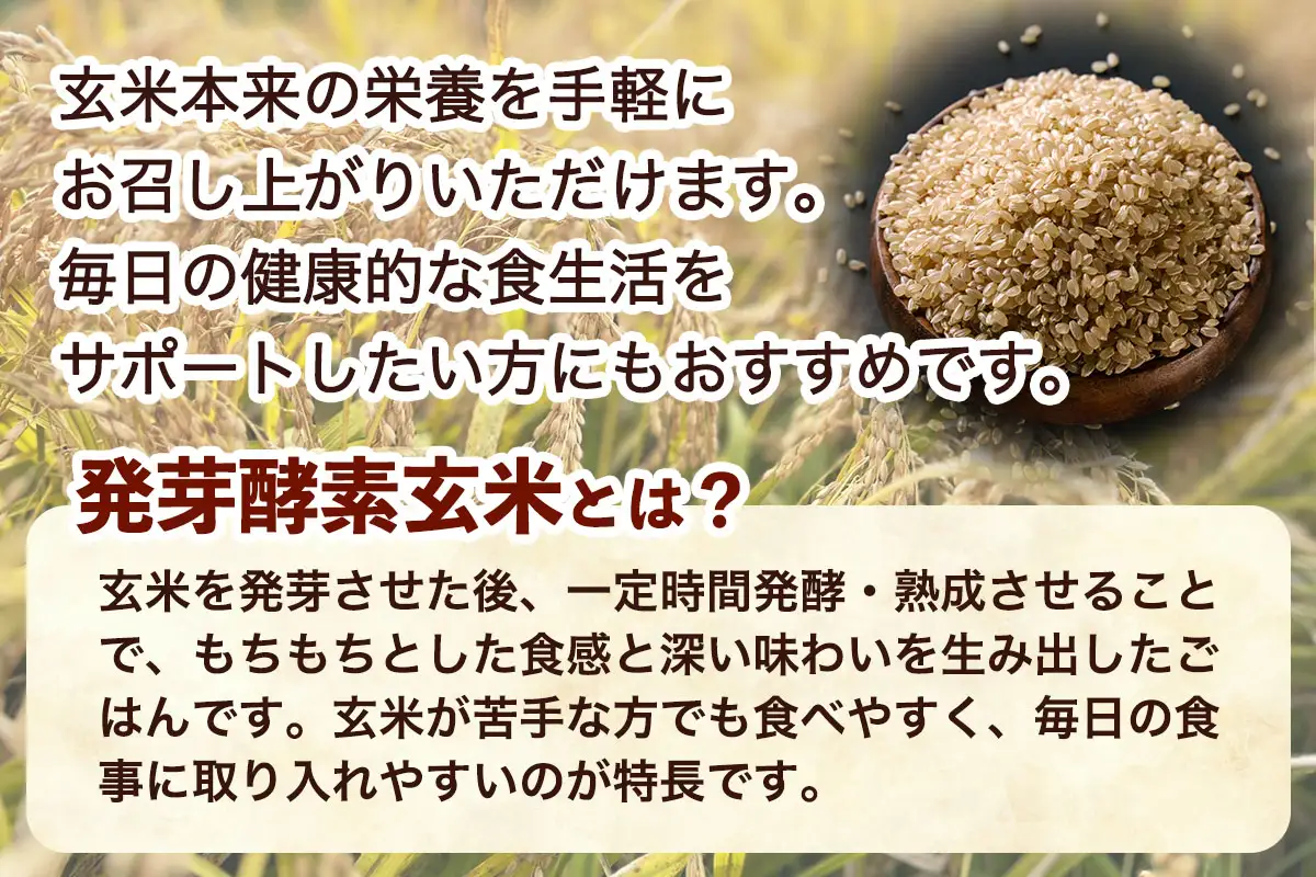 青森県産玄米 藤農園の美食米 発芽酵素玄米ごはん (1食125g×3パック 計375g) [1063]