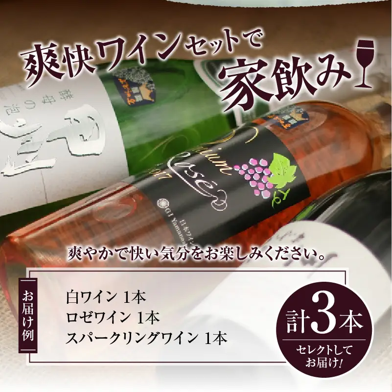 ワイン 爽快ワイン3種セット （KBO）C-662