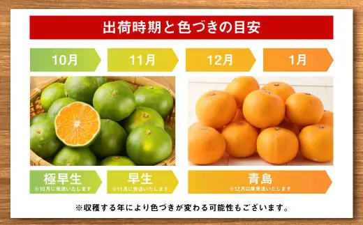 ＜ R8年熊本地震復興支援 ＞＜2027年1月発送予定＞【不揃い】選べる 河内 塩屋みかん 4kg 青島みかん 熊本 国産 みかん 蜜柑 ミカン 果物 くだもの フルーツ
