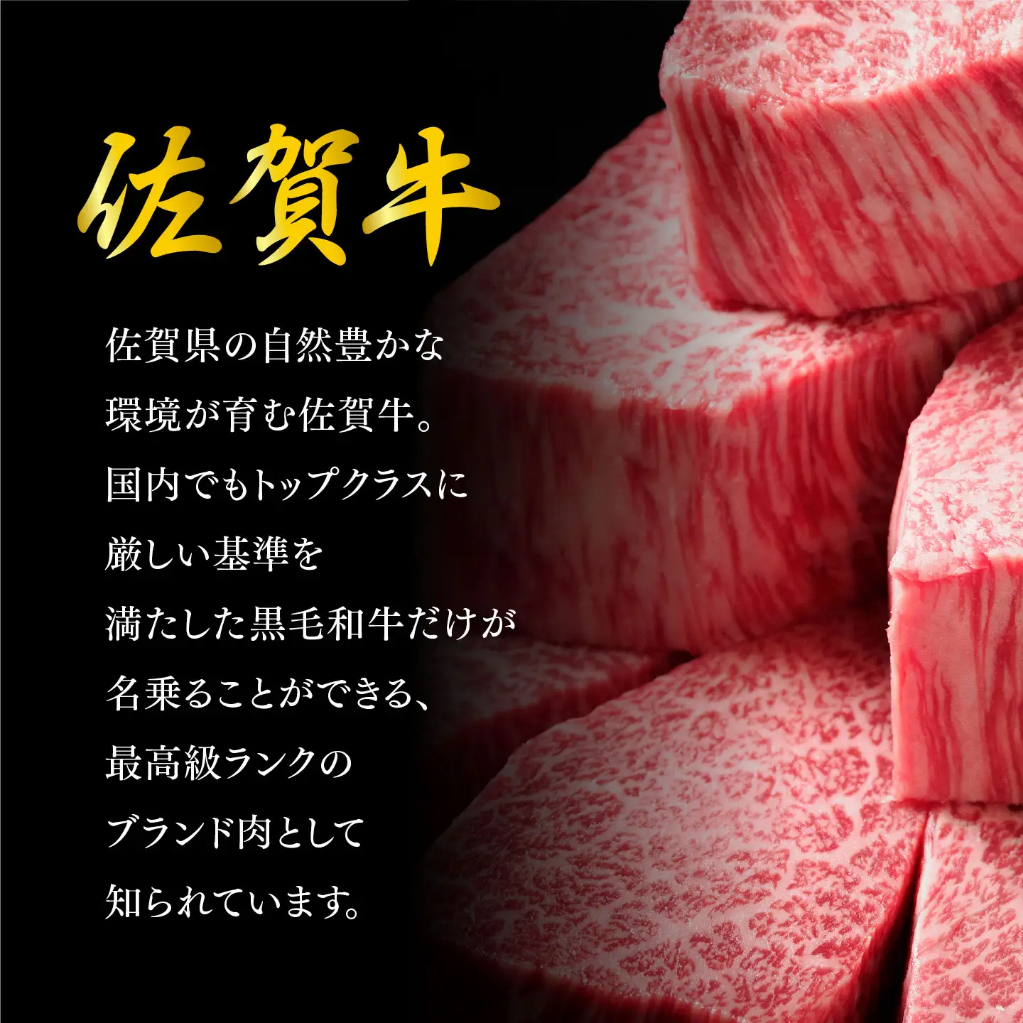 【期間限定・数量限定】訳あり 佐賀牛ヒレステーキ 200g×4枚 K030151