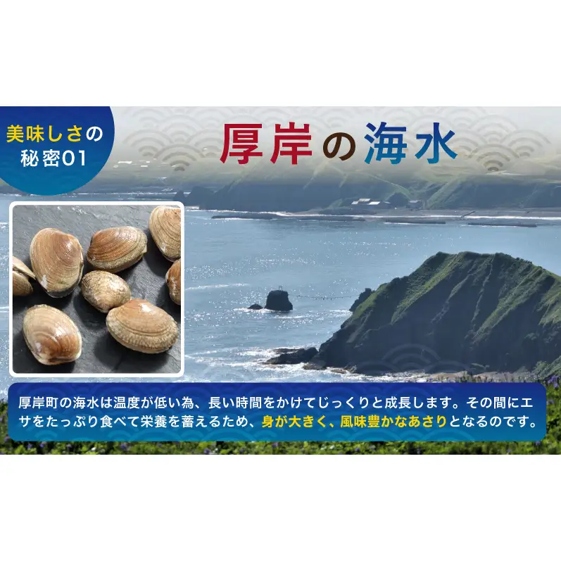 3ヵ月 定期便 あさり 簡単 お手軽 北海道 厚岸産 天然 ブランチング加工 3D 冷凍 大あさり 500g ×4パック 貝 海鮮 魚介類
