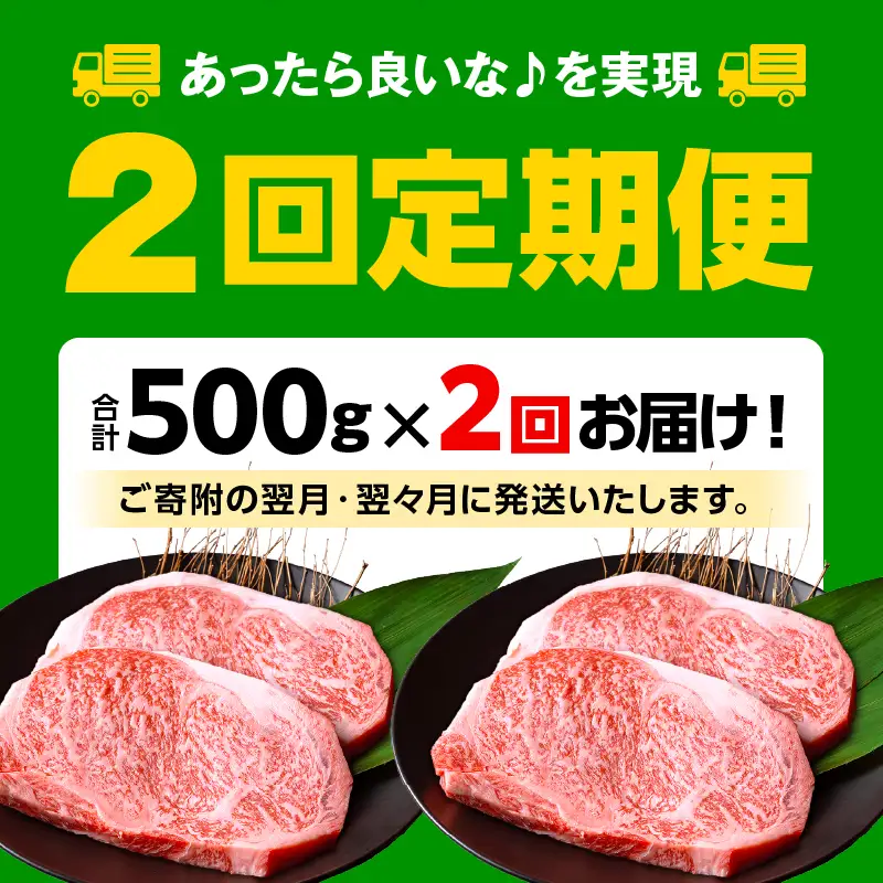 牛肉 ステーキ 牛肉 [宮崎牛 ロース 500g 2回 定期便]