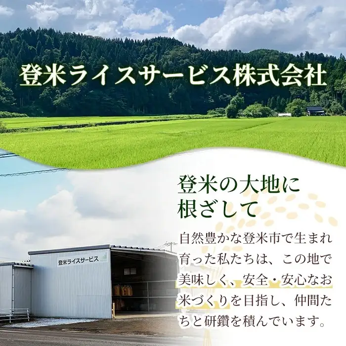 【14営業日以内に発送予定】≪令和7年産≫ 特別栽培米 ササニシキ・つや姫 計10kg(各5kg) 登米市産 お米 おこめ 米 コメ 白米 ご飯 ごはん おにぎり お弁当 【登米ライスサービス株式会社】tm828