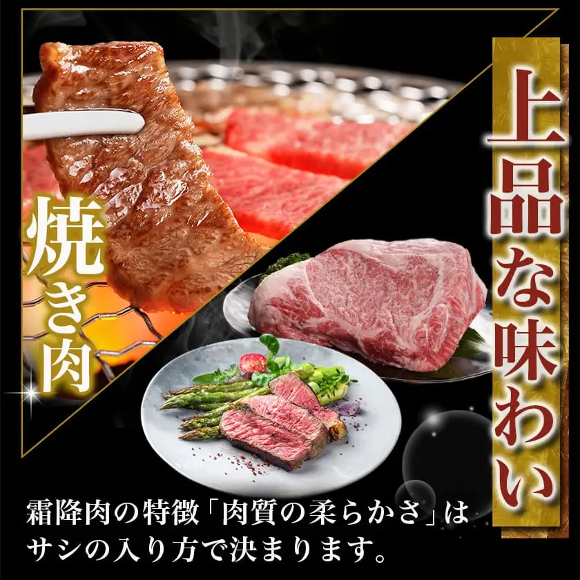 宮崎牛サーロインブロック(1kg)≪みやこんじょ快速便≫〔38-N401-R〕_(都城市) 国産牛肉 ブロック肉 牛ブロック 塊肉 宮崎牛ステーキ 国産牛ステーキ 冷凍