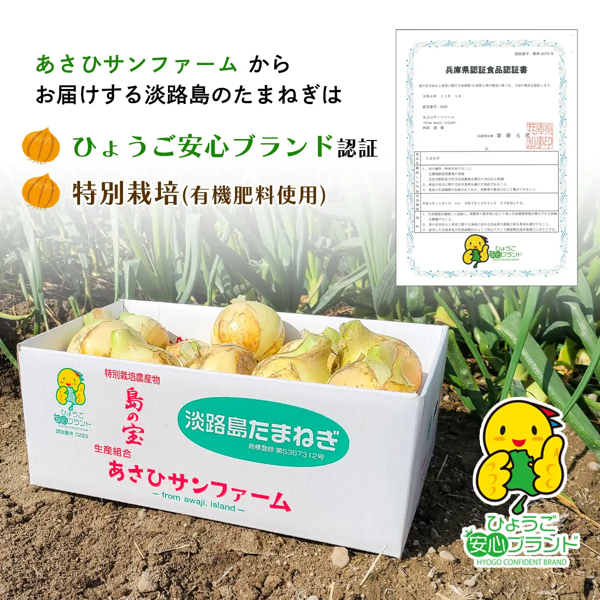 【あさひサンファーム】【Mサイズ 10kg】ひょうご安心ブランド★特別栽培★淡路島たまねぎ