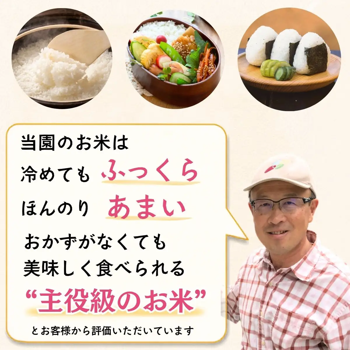 【新米】　たかちゃんのお米（コシヒカリ） 10kg サイクルファーム 