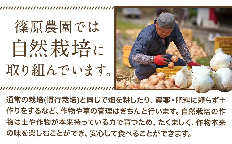 玉ねぎ 訳あり 節減対象農薬 当地比5割減 サラダ玉ねぎ (S-2Lサイズ) 5kg《3月下旬-4月下旬頃出荷予定》熊本県 葦北郡 津奈木町 篠原農園 野菜 たまねぎ 自然栽培