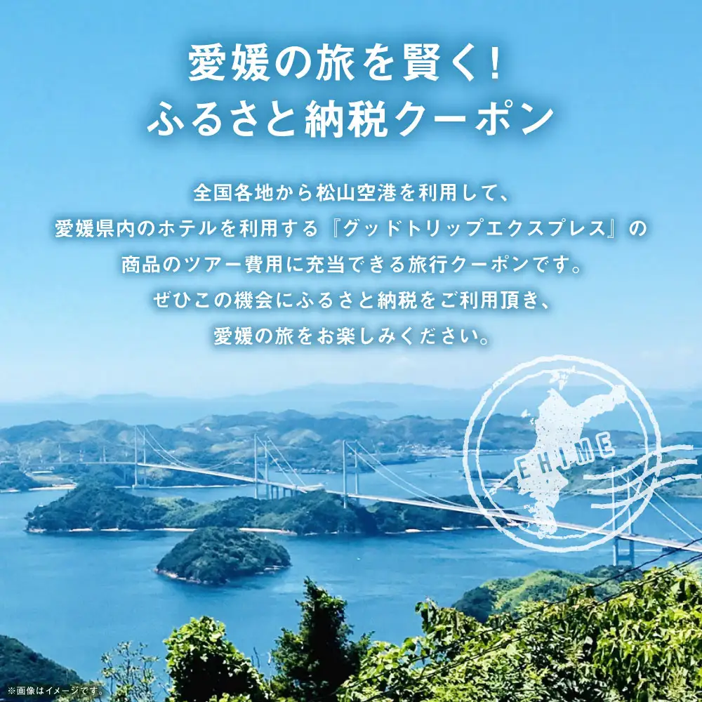 愛媛県内の宿泊施設に泊まるふるさと納税旅行クーポン 15,000円分 旅行クーポン 旅行券 クーポン 券 旅行 観光 国内旅行 家族旅行 ひとり旅 愛媛県旅行 宿泊 カップル 夫婦 親子 家族 ファミリー （ 1138 ）