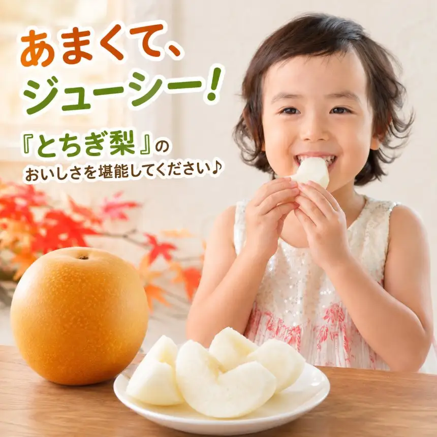 梨 にっこり 大玉 2玉 秀品 2kg 【栃木県共通返礼品】栃木県産