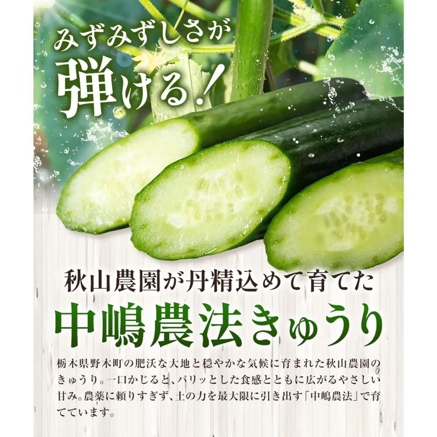 きゅうり 約2.8kg 秋山農園