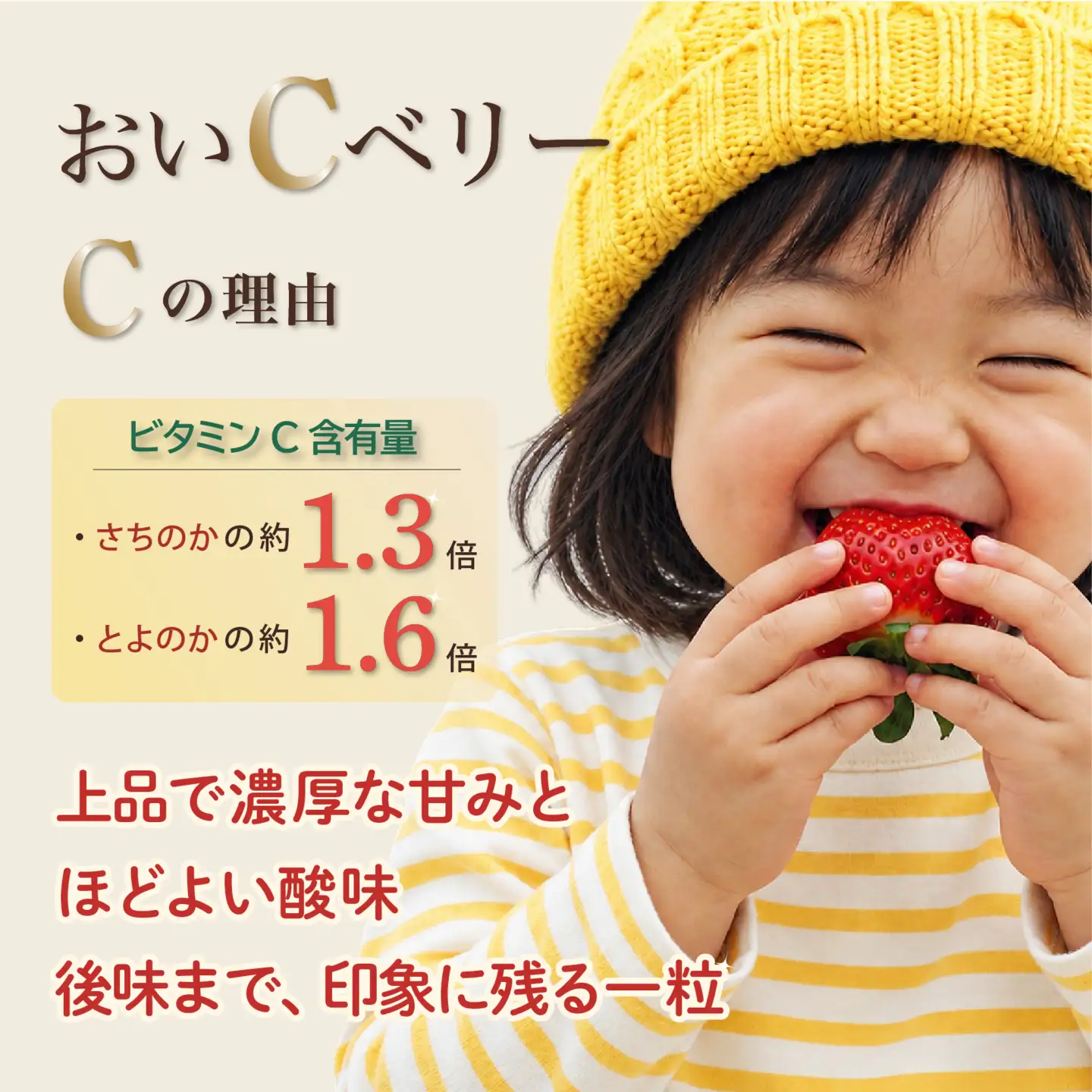 先行予約 いちご 苺 おいCベリー 贈答品 4パック：36～54粒 （2027年1月発送開始） | 厳選 贈り物 ギフト お取り寄せ 苺 いちご 大粒 南国市