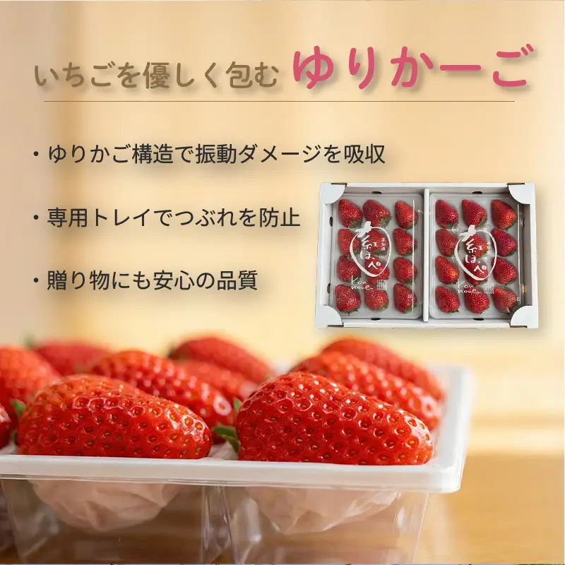先行予約 いちご 苺 贅沢 食べ比べセット 紅ほっぺ おいCベリー 贈答品 計2パック：18～27粒 （2027年1月発送開始） | 厳選 贈り物 ギフト お取り寄せ 苺 いちご 大粒 南国市