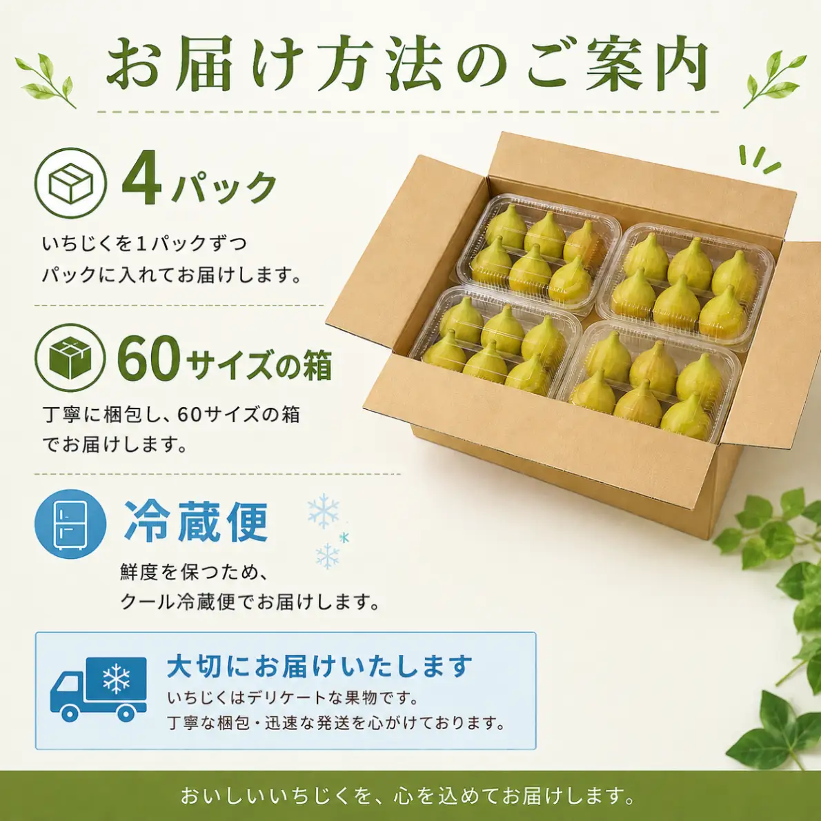 いちじく フルーツ 4パック バナーネ 【 白 イチジク 】
