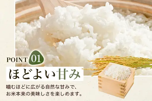 【ふるさと納税】ひのひかり 米 お米 白米 20kg 20キロ 福岡県産 うきは市 国産 精米 ご飯 ごはん おにぎり お弁当 人気 おすすめ 家庭用 送料無料 新米 ストック 厳選 農家直送 大容量【JA福岡くるめ にじの耳納の里】