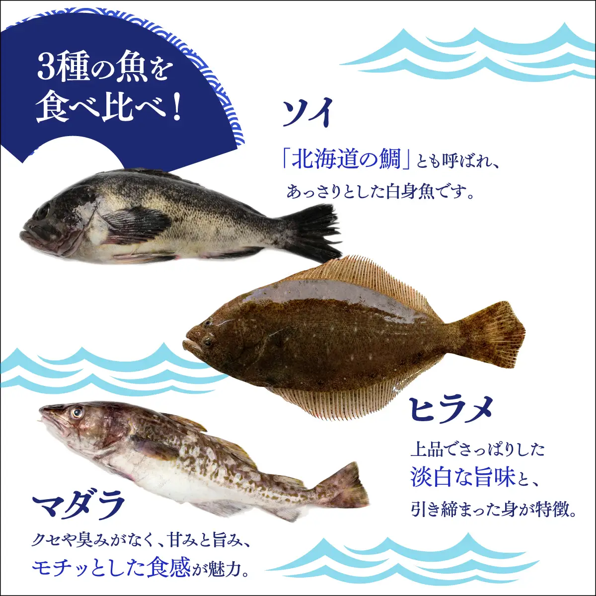 松前産 ソイ・ヒラメ・マダラ 昆布〆セット 100g×3 冷凍 高級魚 食べ比べ 3種 詰め合わせ | 北海道産昆布 昆布締め こんぶじめ 曹以 鮃 真鱈 平目 白身魚 刺身 お刺身 酒の肴 おつまみ 晩酌 海鮮 お取り寄せ グルメ | 北海道 松前町 MATK040