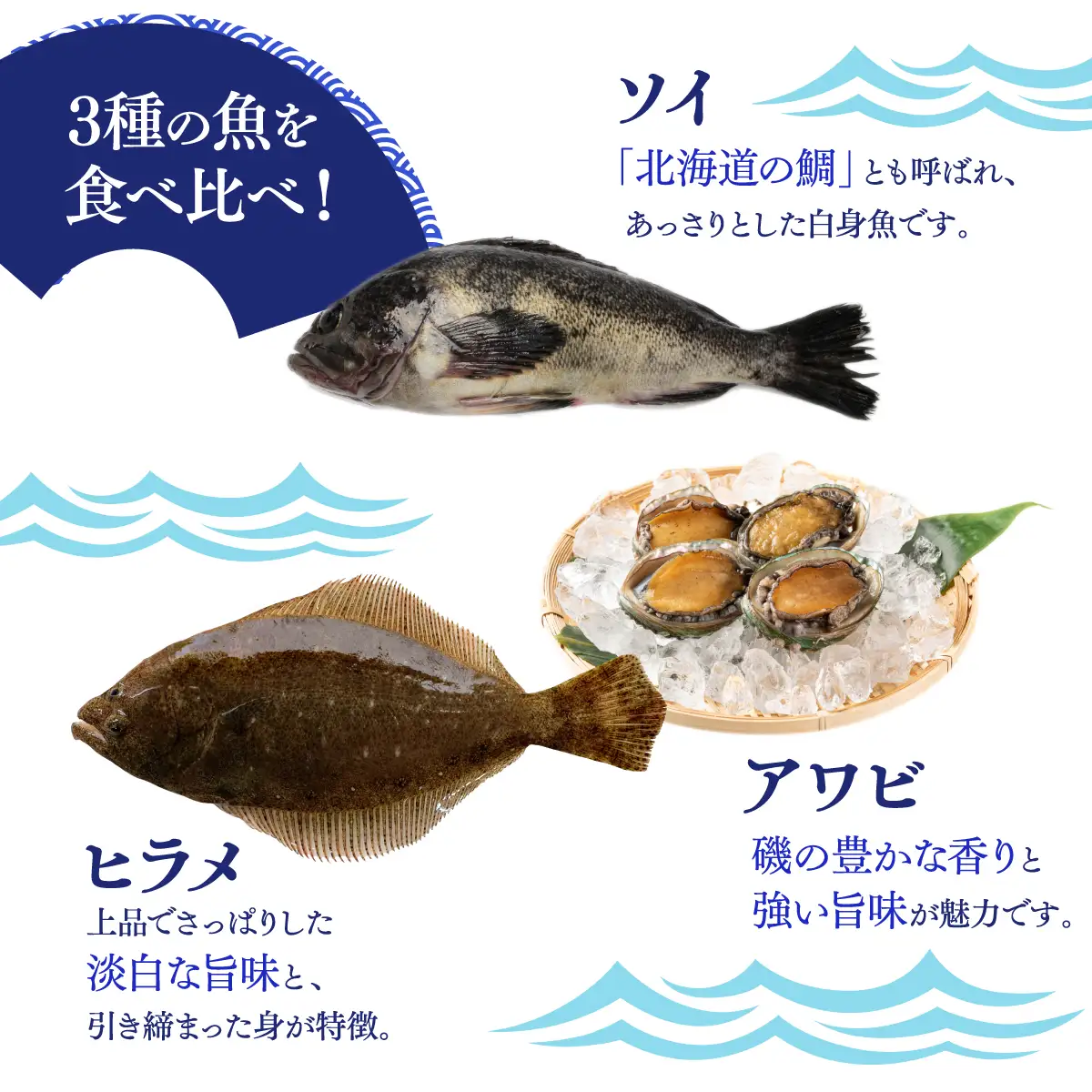 松前産 ソイ・アワビ・ヒラメ 昆布〆 セット 100g×3 冷凍 高級魚 食べ比べ 3種 詰め合わせ | 北海道産昆布 昆布締め こんぶじめ 曹以 鮃 平目 鮑 白身魚 刺身 お刺身 酒の肴 おつまみ 晩酌 海鮮 お取り寄せ グルメ | 北海道 松前町 送料無料 MATK041