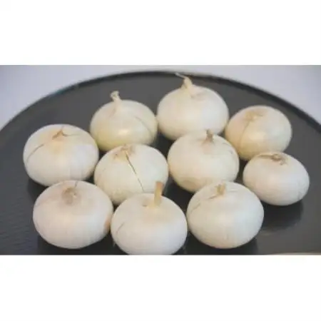 【訳あり】純国産 北摂茨木にんにく 1kg【1751095】