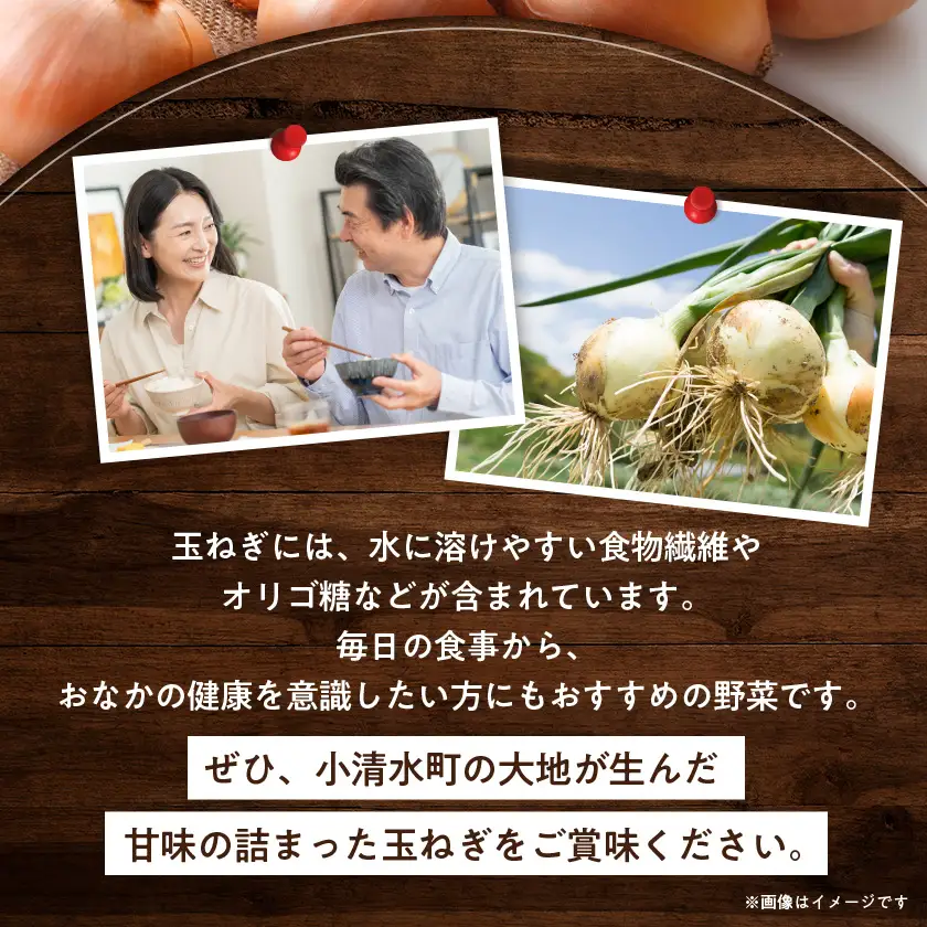 北海道小清水町産 玉ねぎ20kg 甘み豊か 産地直送【1763299】