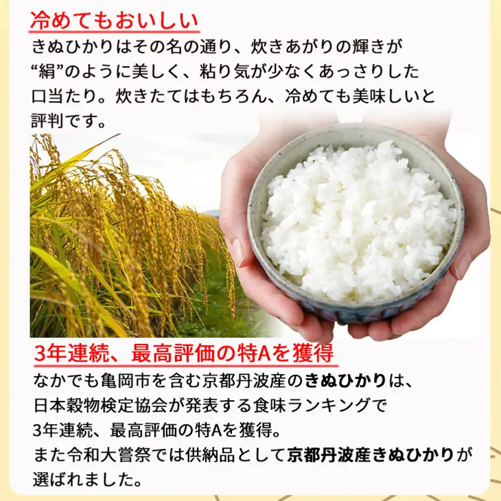 【12回定期便】令和8年産 無洗米 きぬひかり 10kg×12回
