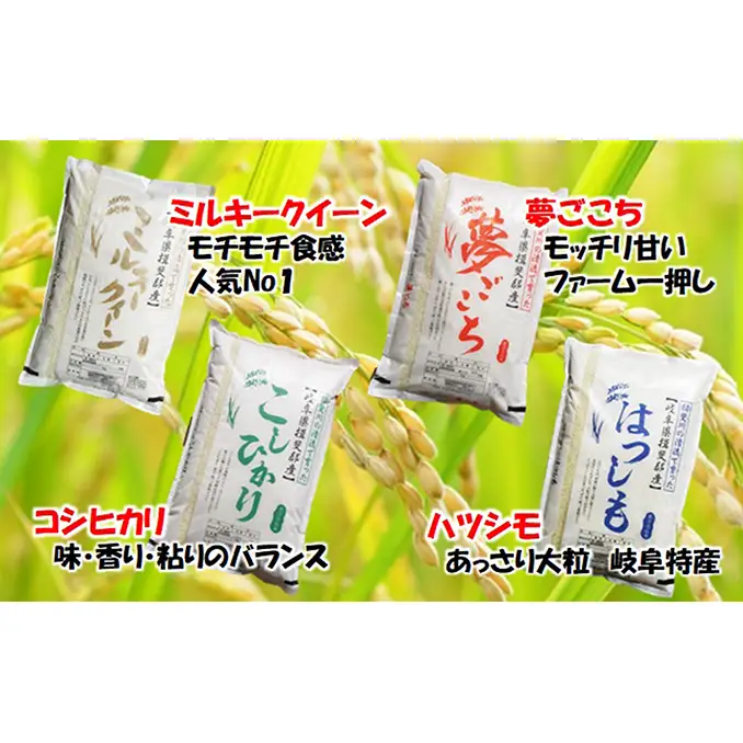 特別栽培米 【 令和8年産 】 玄米 30kg【 コシヒカリ 】