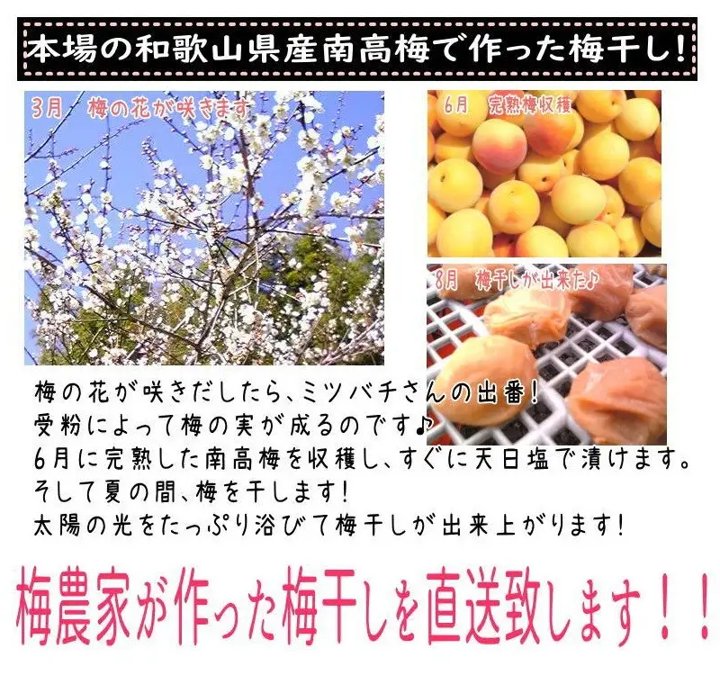 紀州南高梅 白干し南高梅干し 1kg Lサイズ 塩分20％ 添加物不使用 / 梅 うめ ウメ 梅干し 梅干 白干し 南高梅 紀州南高梅 和歌山県 田辺市 【aoi025】 