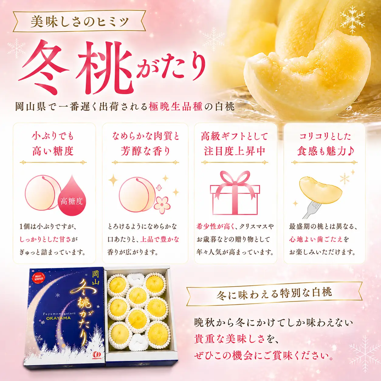 岡山冬桃がたり 約1.35kg(7～9玉) 岡山県産 【先行予約 2026年12月中に順次発送】