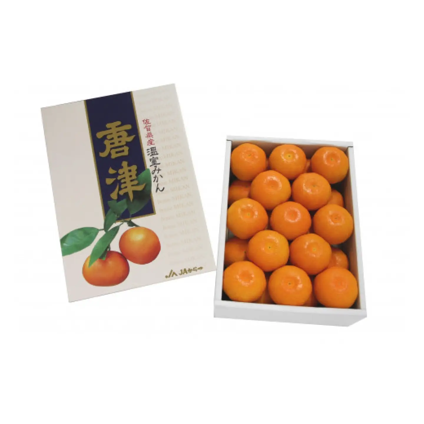 唐津産 ハウスミカン 1kg / 蜜柑 みかん 柑橘 果物 / 佐賀県 / さが