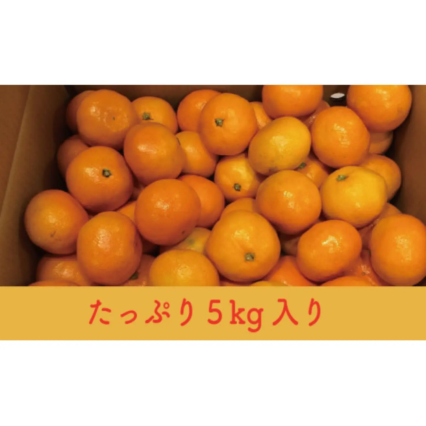 【2026年11月以降発送】佐賀県産みかん「さが美人」 約5kg / 蜜柑 みかん 柑橘 果物 / 佐賀県 / さが風土館季楽[41AABE119]