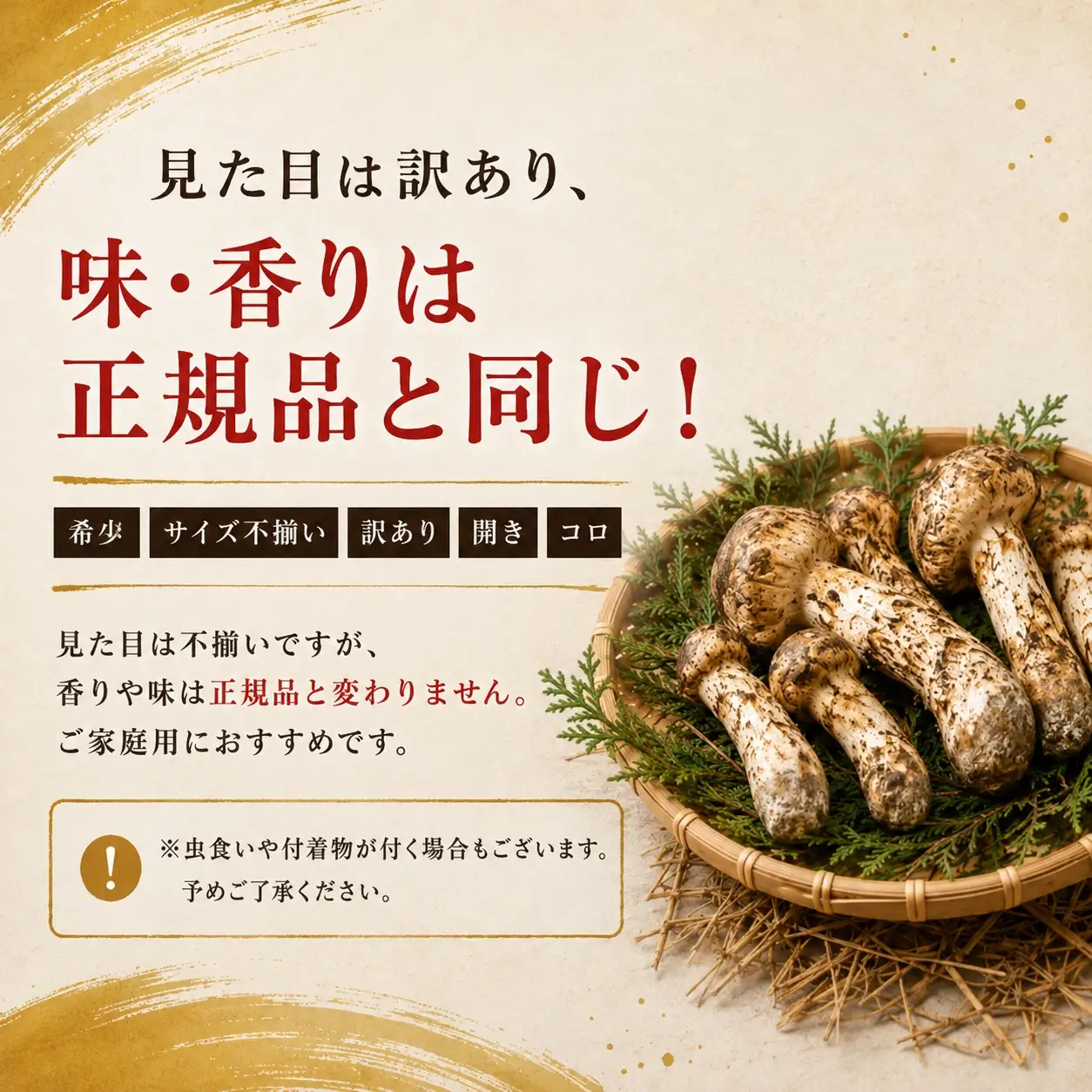 【先行予約】松茸 訳あり 500g 岩手町産 松茸