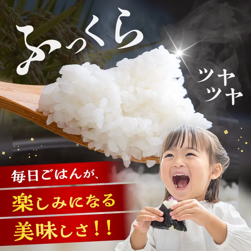 【順次発送】令和7年産 ななつぼし2kg お米 米 2kg 北海道 北海道産 ななつぼし F21X-746