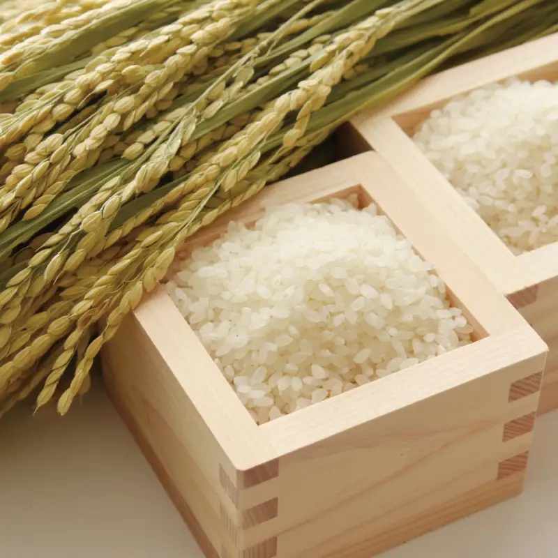 紀州のお米(未検査米)10kg (2026年産) 産地直送 米 こめ ご飯 ごはん【sml918A】