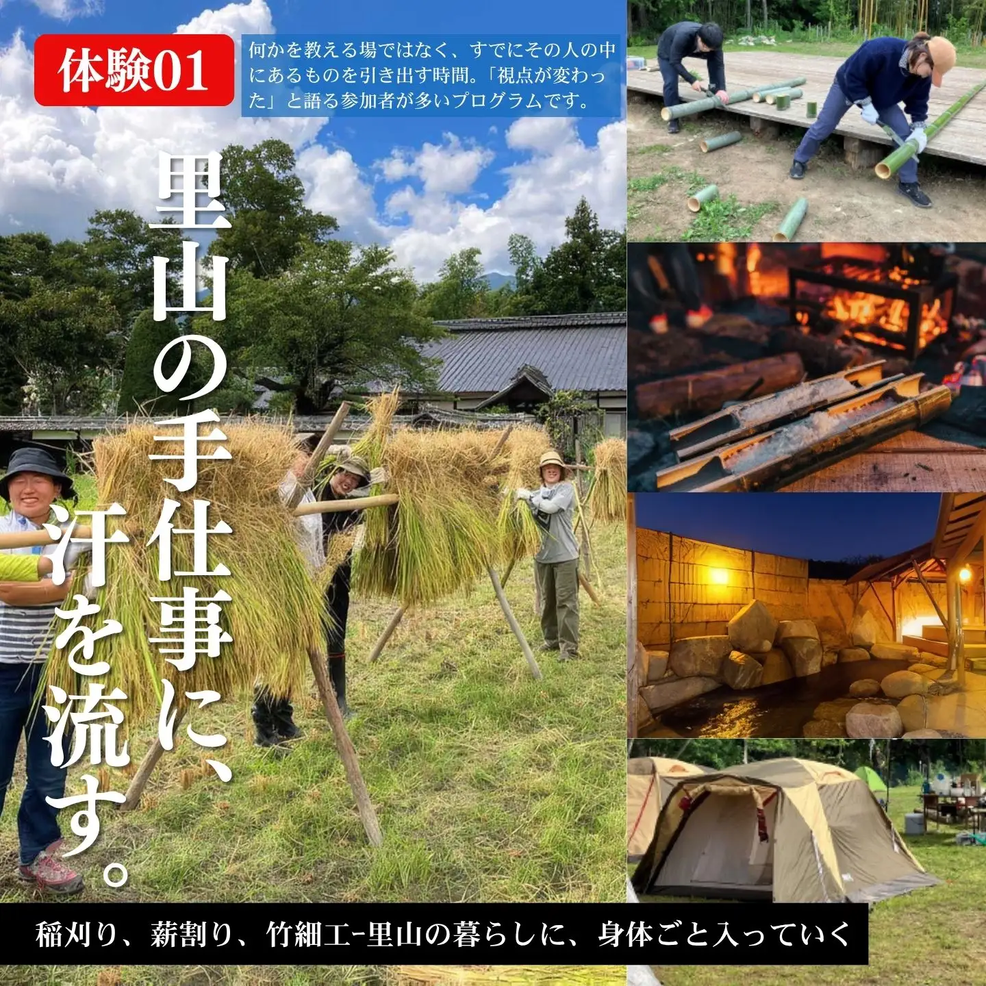 TANEBI（たねび）市場の森でやる、古民家暮らしコース（稲刈り1泊2日・1名）[GN01]//長野県 松川町 いちばの森 宿泊 古民家  テント泊 稲刈り 野外 アウトドア お出かけ 遠出 温泉 食事付 夕食付 体験 旅行 旅 故郷