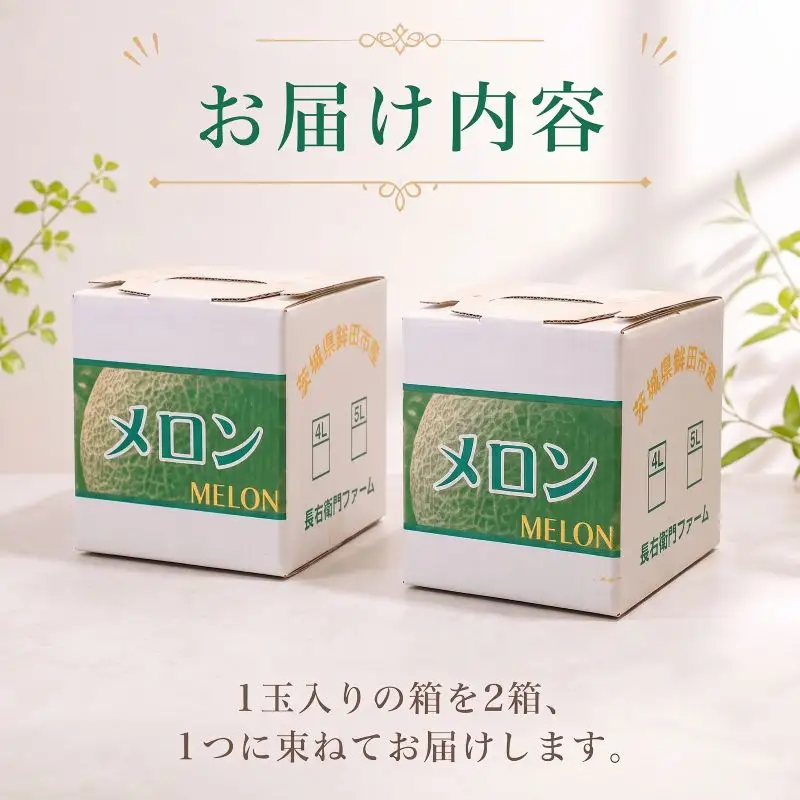 【先行予約】レノンメロン(鉾田市) 2玉 赤肉品種 赤肉メロン！ ／ レノンメロン 果物 フルーツ メロン 産地直送 chf002