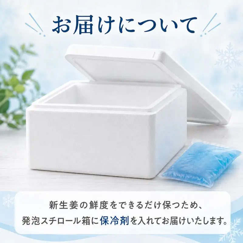 新生姜 2.5kg しょうが 生姜 新生姜
