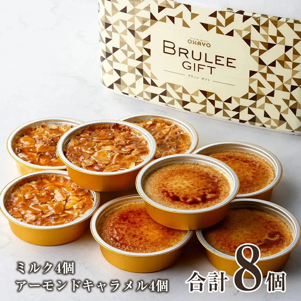 ブリュレ アイス アイスクリームギフト 詰め合わせ 2種×4個入 計8個 ブリュレアイス アイスクリーム ギフト BRULEE オハヨー乳業 OHAYO おやつ スイーツ デザート 贈り物 食べ比べ 茨城県 鉾田市