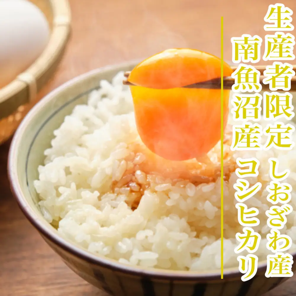 【令和8年産 新米】【1Kg】生産者限定／契約栽培 南魚沼しおざわ産コシヒカリ【銘柄米 精米 こしひかり コシヒカリ 魚沼産 新潟米 お米 米 こめ コメ ご飯 御飯 ごはん】【2026年10月上旬より1ヶ月以内に順次発送予定】