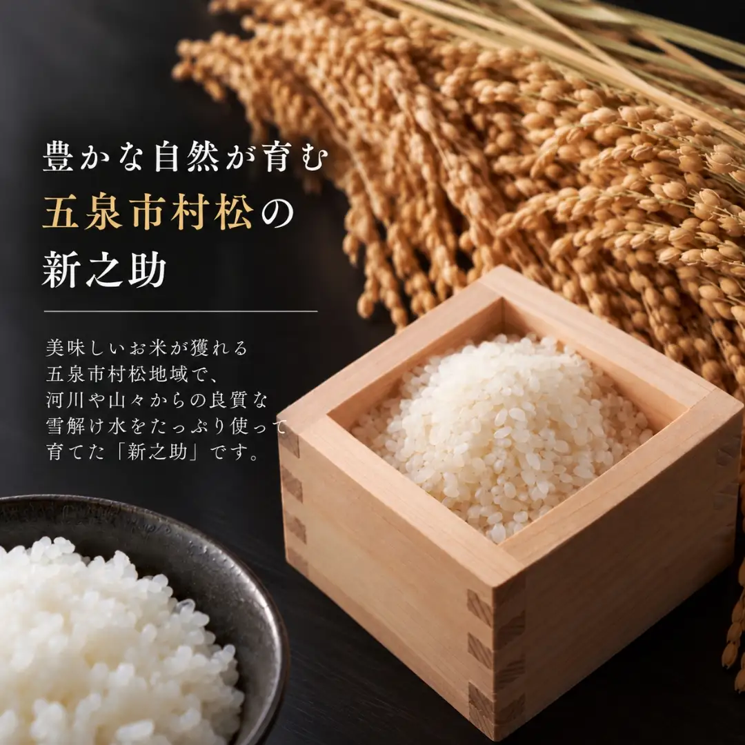 【3回定期便】新之助 3kg 熊倉商店 新潟｜新之助 しんのすけ