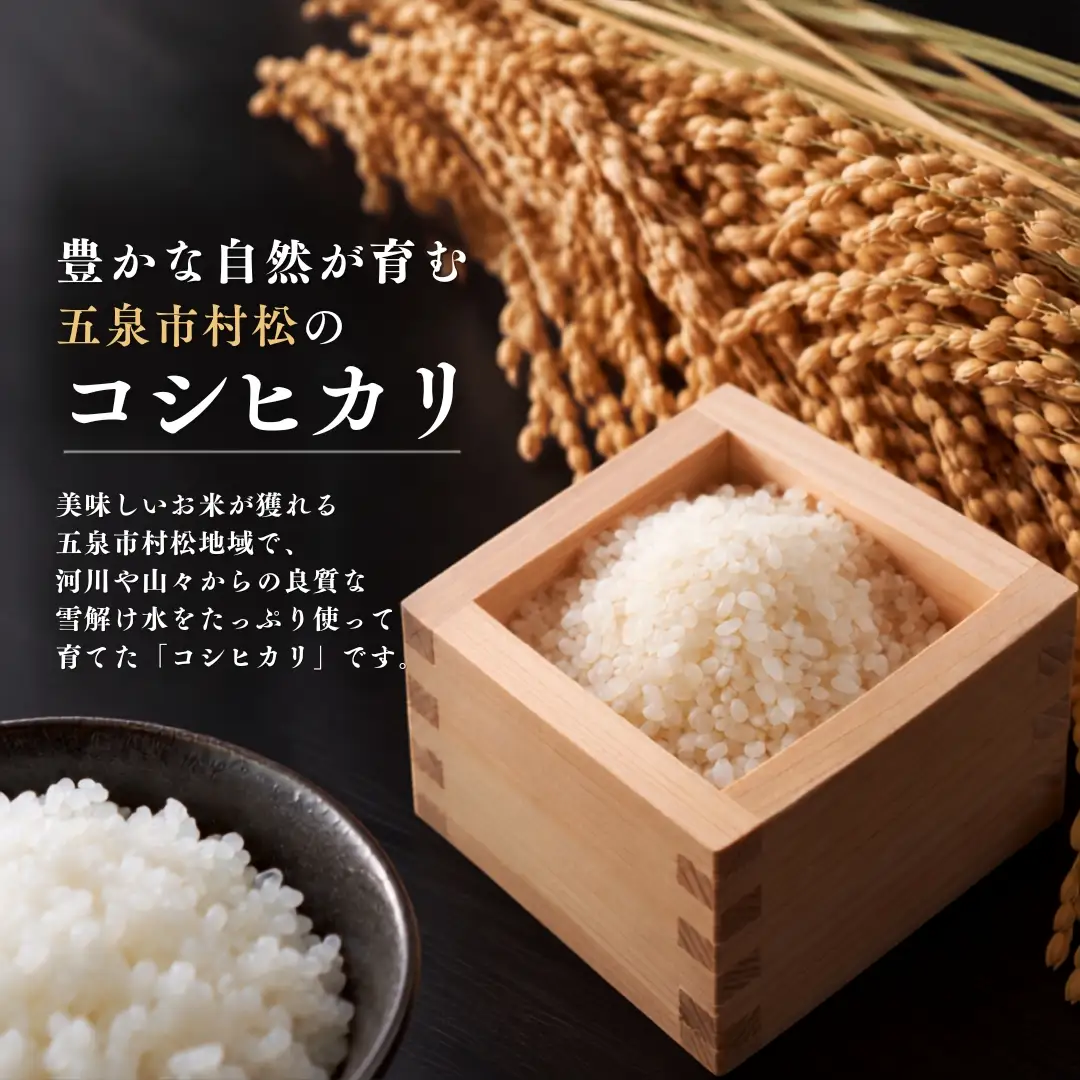 【3回定期便】コシヒカリ 10kg 5kg×2袋 熊倉商店 新潟｜コシヒカリ こしひかり