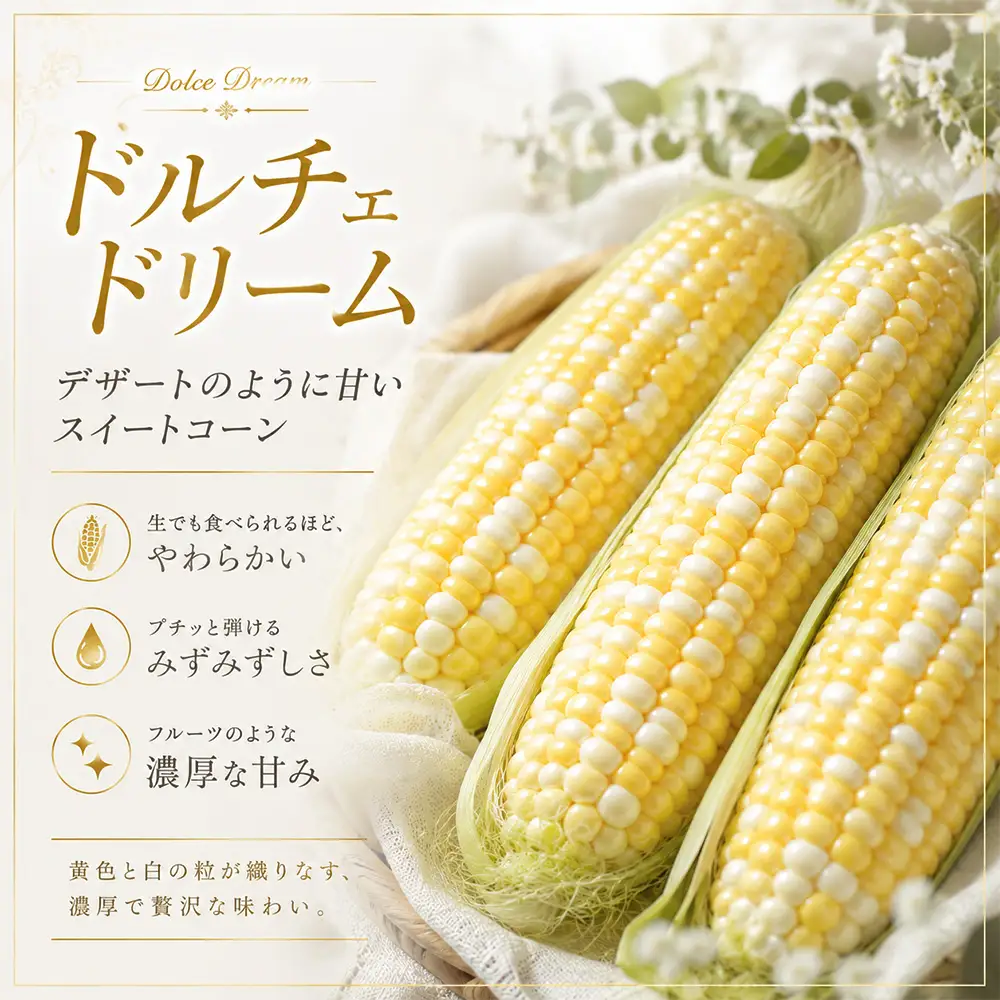 野菜定期便 3回便【令和9年産先行予約】本山農場の野菜定期便（大）野菜 セット