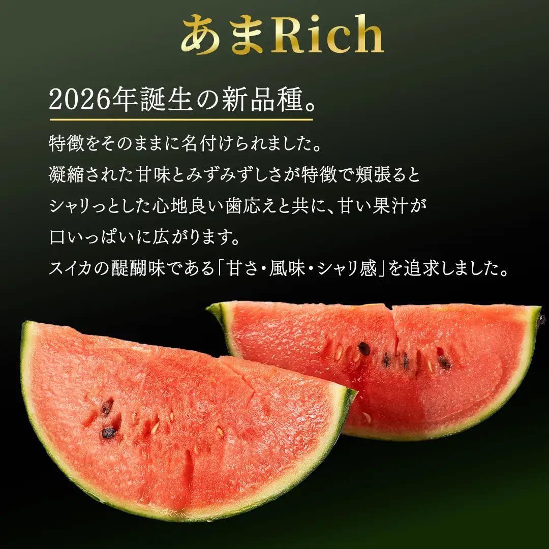 ≪ 2027年 収穫分 ≫ 2026年誕生の新品種 小玉スイカ あまRich 2玉 先行予約 藤田益弘 国産 小玉 スイカ 小玉すいか こだますいか こだまスイカ 小玉すいか 西瓜 フルーツ 果物 くだもの 旬 ギフト 贈答 茨城県 桜川市 [CQ010sa]