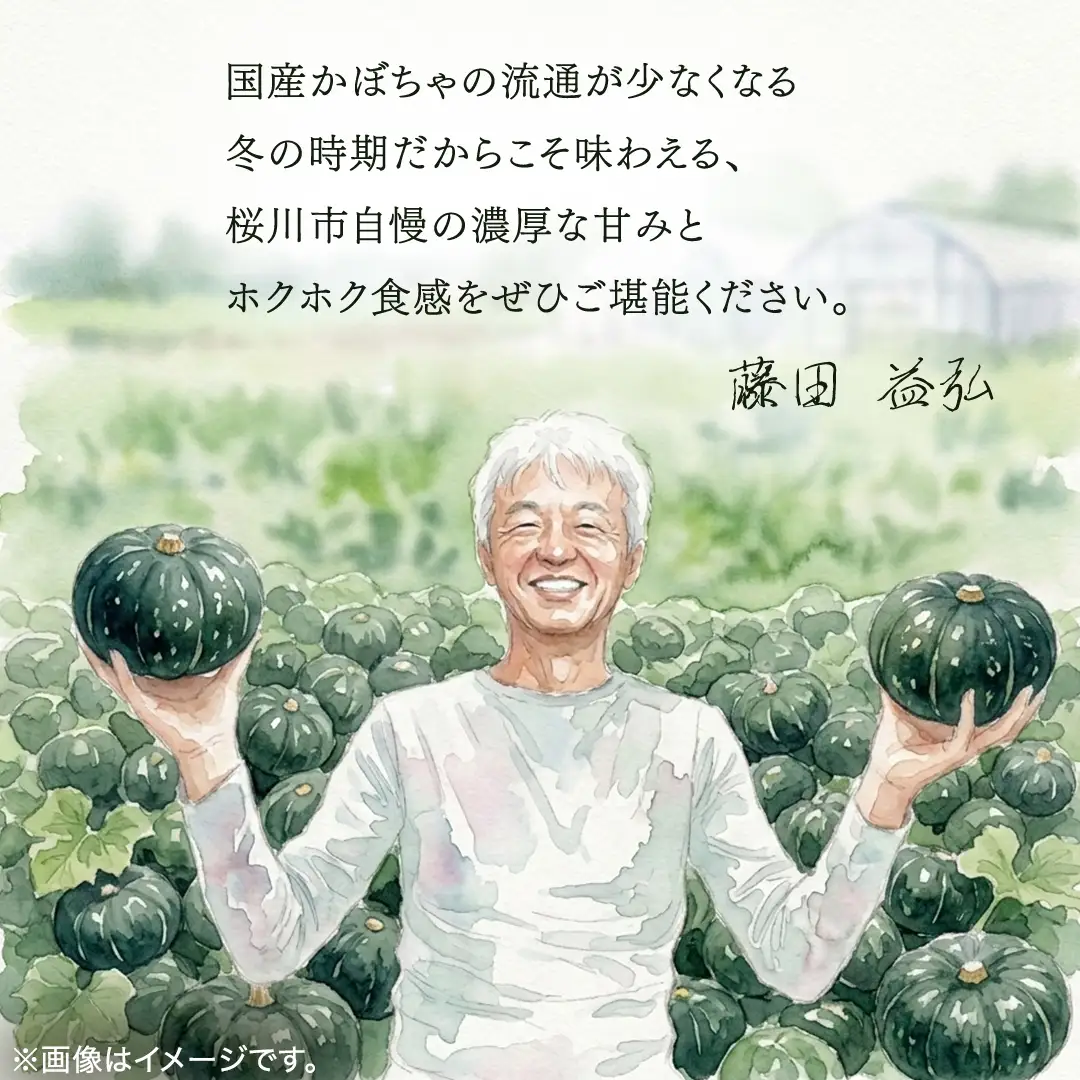 ≪ 2026年 収穫分 ≫ 桜川市産 高級かぼちゃ 天空一果 2玉 先行予約 藤田益弘 国産 希少 高級 かぼちゃ カボチャ 南瓜 野菜 旬 冬 ギフト 贈答 茨城県 桜川市 [CQ009sa]