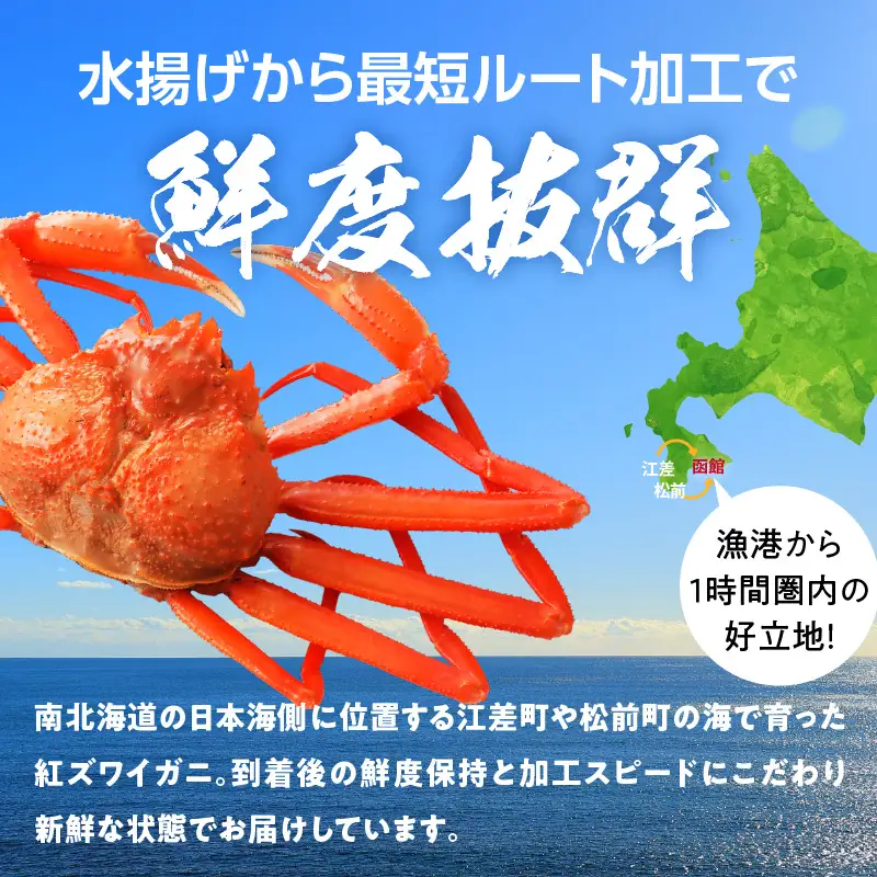 【北海道産】ボイル紅ズワイガニ 脚1kg_HD138-007