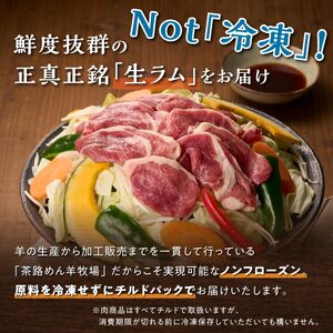 焼肉用ラム肉スライス【250g×2パック、オリジナルスパイス10g】_I020-0442