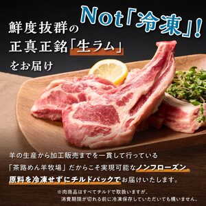 骨付きラム肉ステーキセット【300g×1パック、オリジナルスパイス10g】_I015-0443