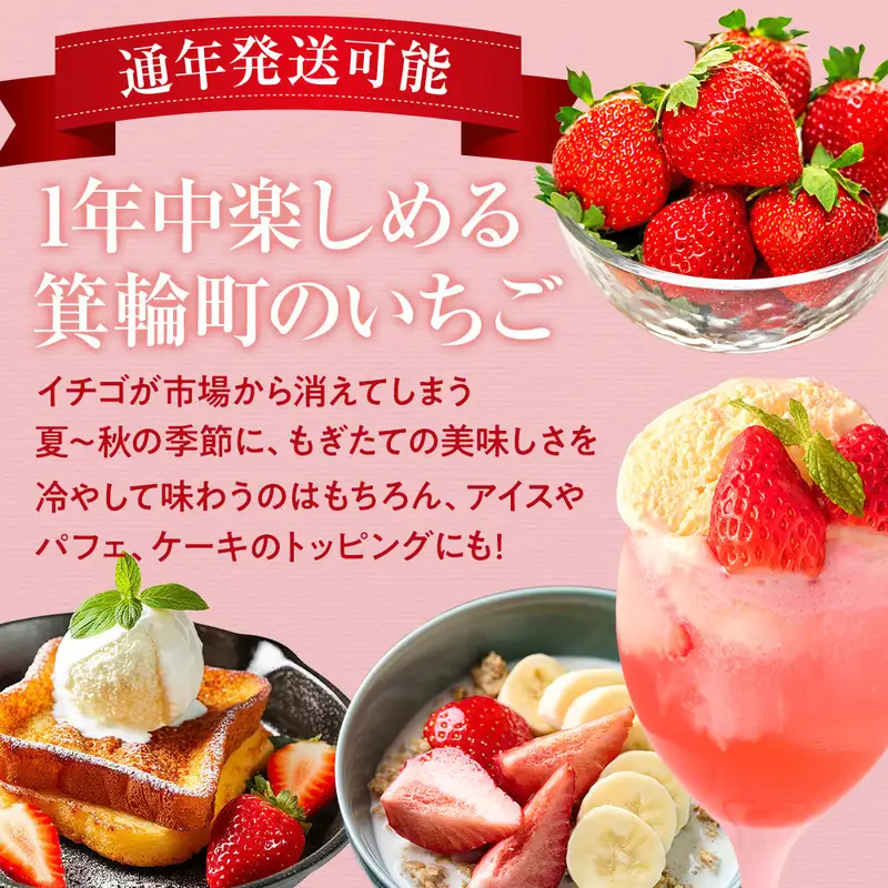 紅白イチゴ　白いちご　夏いちご　いちご詰め合わせ