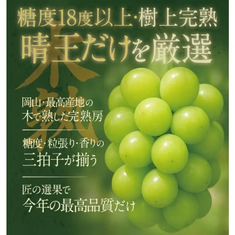 先行予約 2回 定期便 晴王 木熟ぶどう ハレノシャイン シャインマスカット晴王 2房 約1.4kg 9月・10月発送 種無し 皮ごと食べる みずみずしい 甘い フレッシュ 糖度保証 厳選品質 冷蔵 ハレノフルーツ