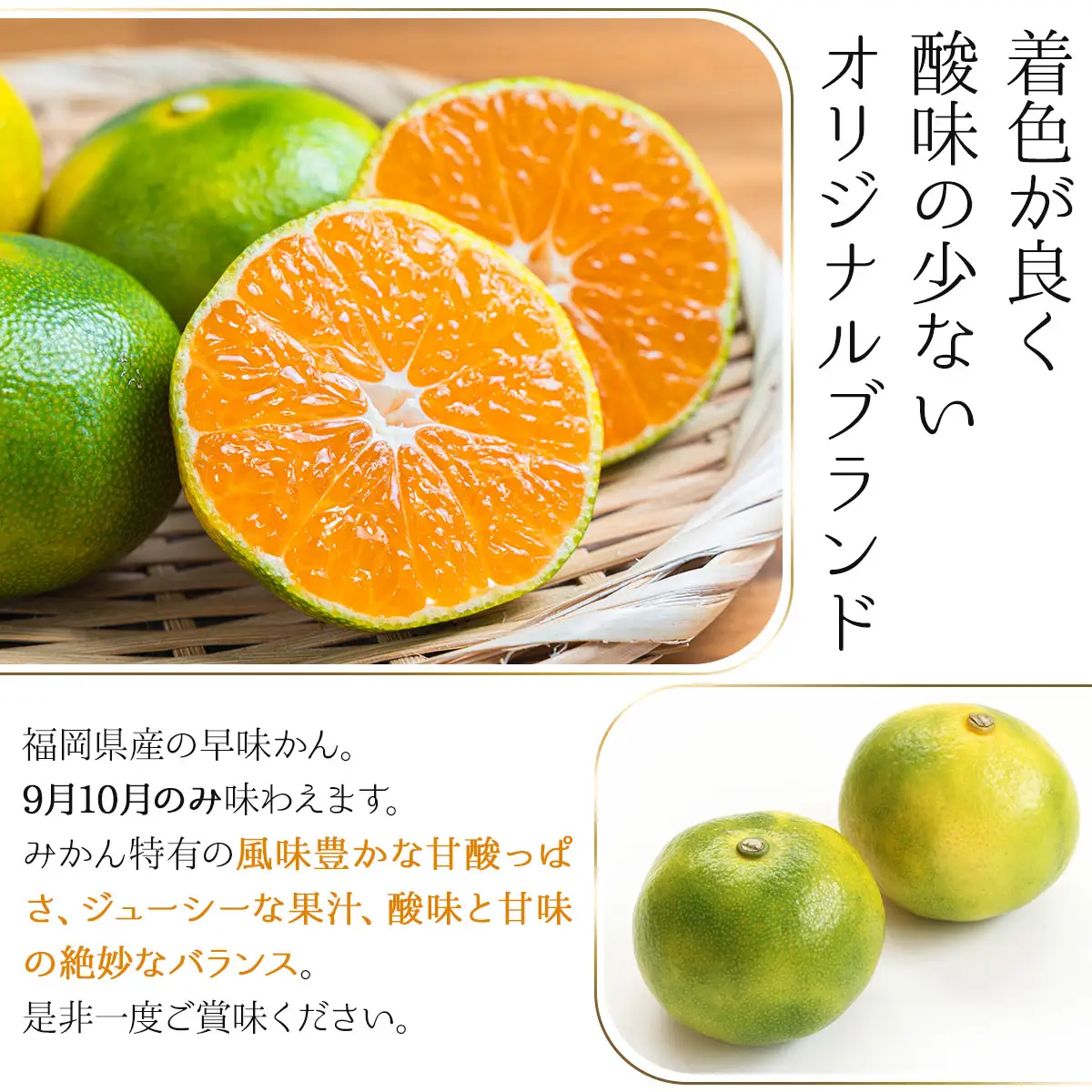 【先行予約】福岡限定!オリジナルブランドみかん「早味かん」約2kg(篠栗町)【NF003】