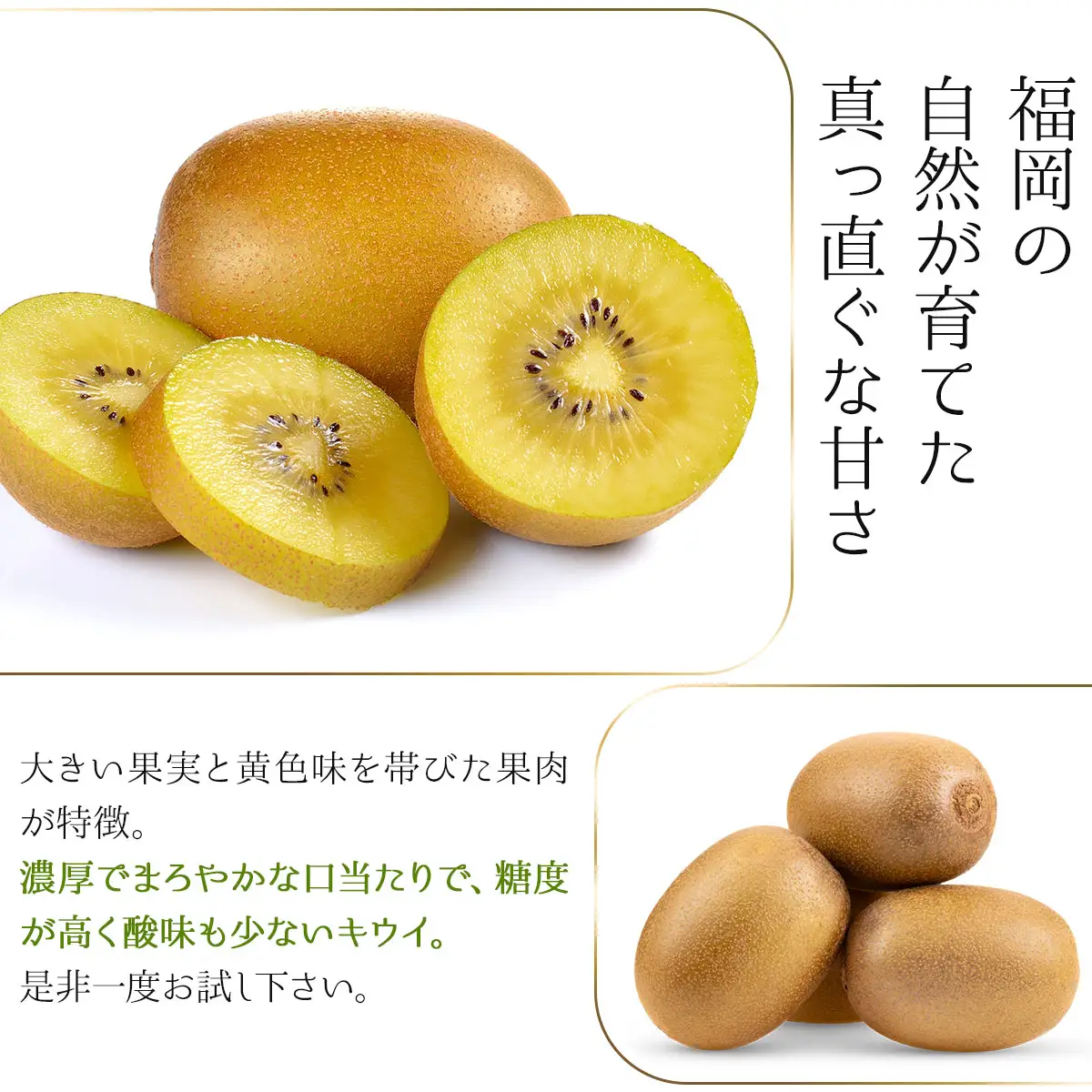 【先行予約】福岡限定!ブランドキウイ「甘うぃ(あまうぃ)」約1.5kg箱(12-15玉)(篠栗町)【NF005】