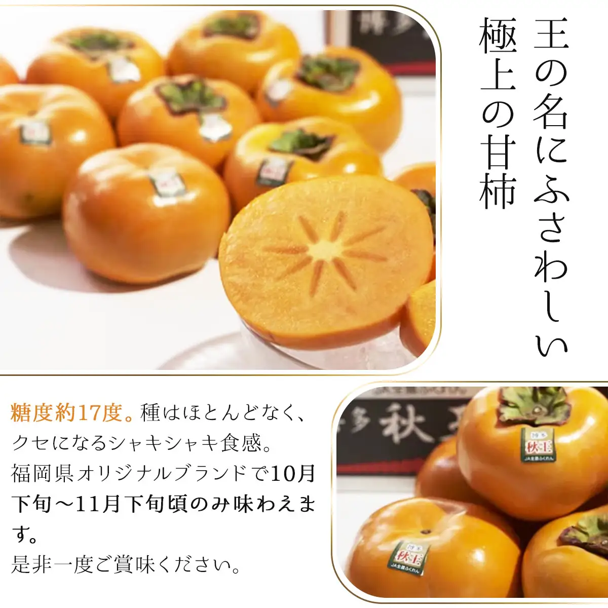 【先行予約】福岡産(柿)秋王(あきおう)約1.5kg箱(4-6玉)(篠栗町)【NF007】